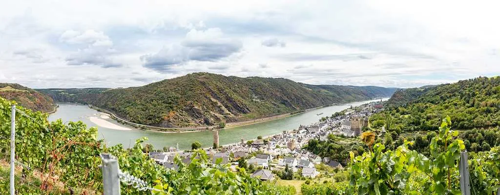 Weinberg am Mittelrhein bei Oberwesel